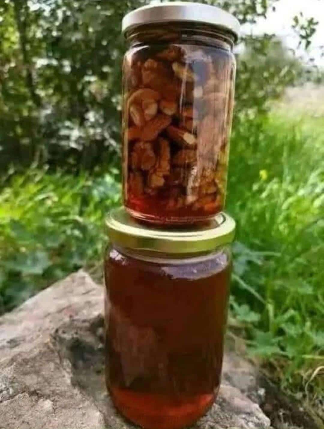 عسل الجراح||سوريا_إدلب