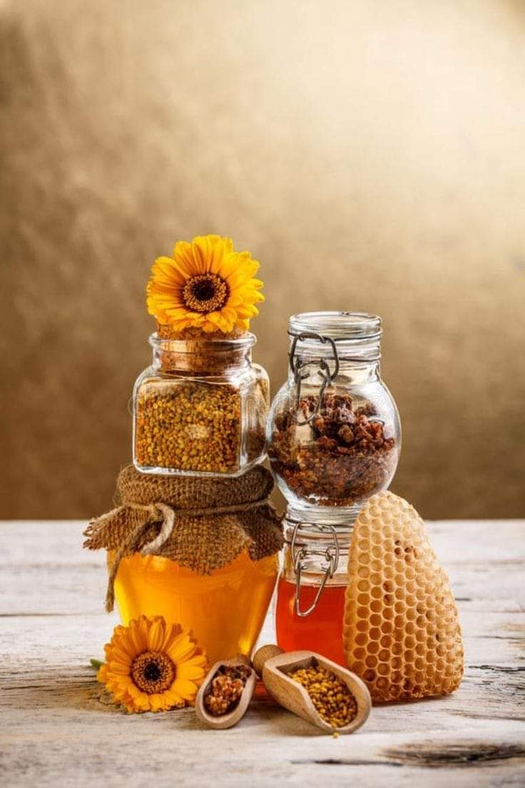 عسل الجراح||سوريا_إدلب